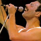 freddie mercury