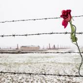 violino di Auschwitz