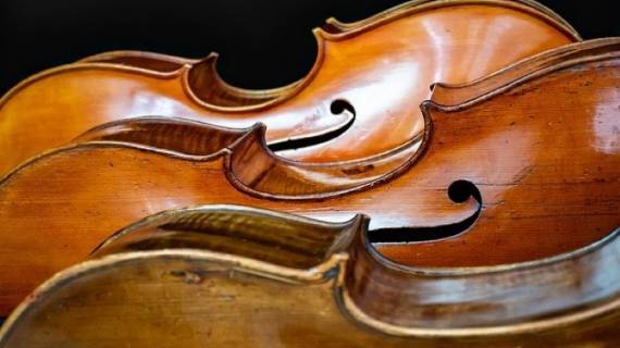 comparazione violoncelli